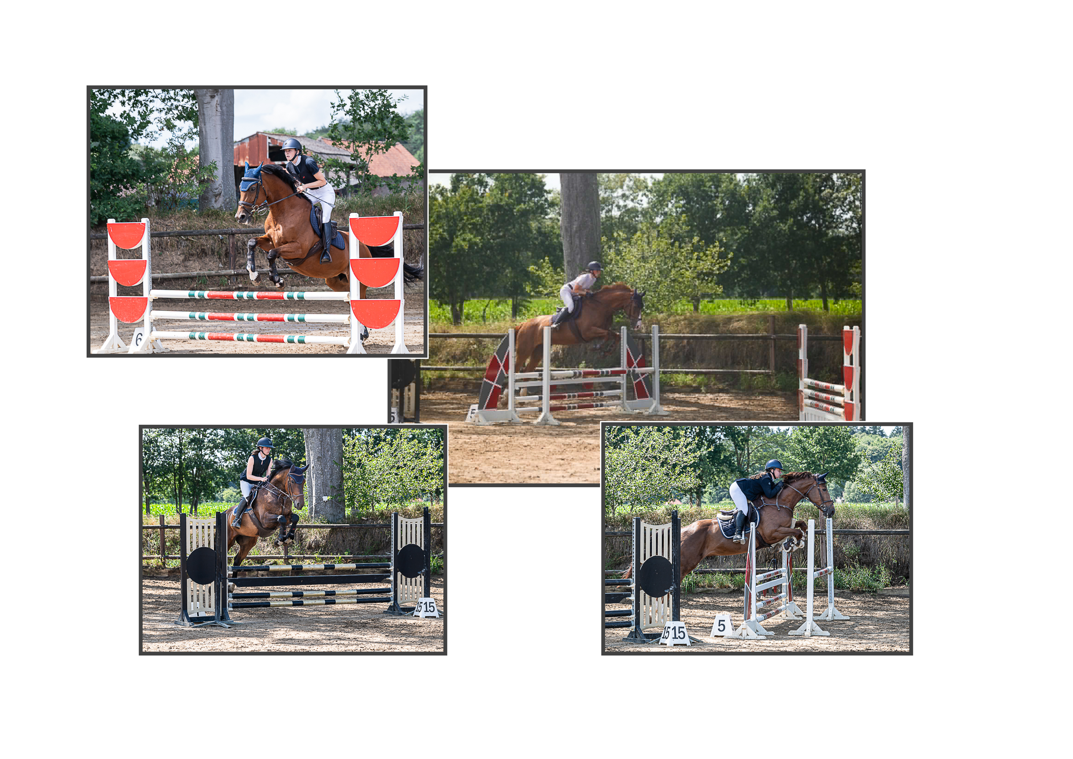 05/07 Een succesvolle jumping in het Gouden Bit !